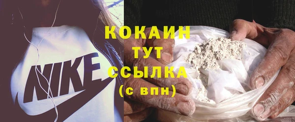 стаф Инта