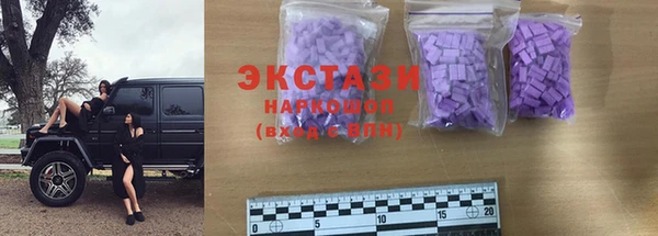 индика Зеленодольск