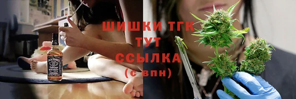 индика Зеленодольск