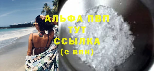 индика Зеленодольск