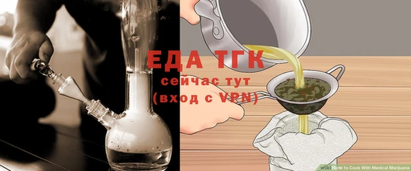 индика Зеленодольск
