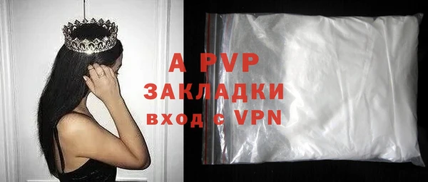 индика Зеленодольск