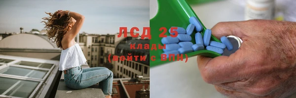 индика Зеленодольск