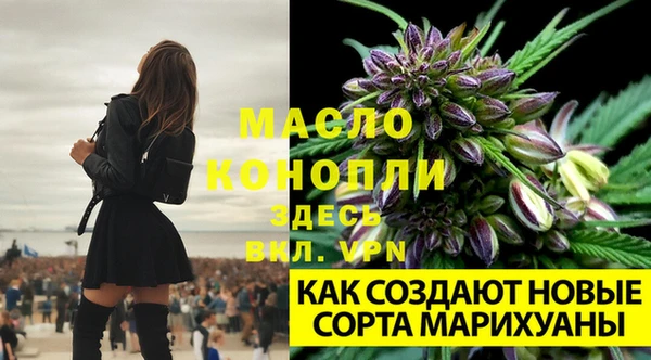 индика Зеленодольск