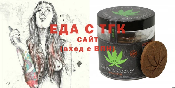 индика Зеленодольск