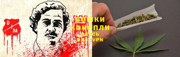 индика Зеленодольск