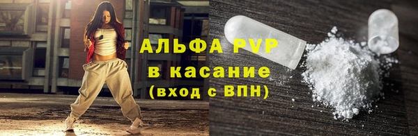 индика Зеленодольск