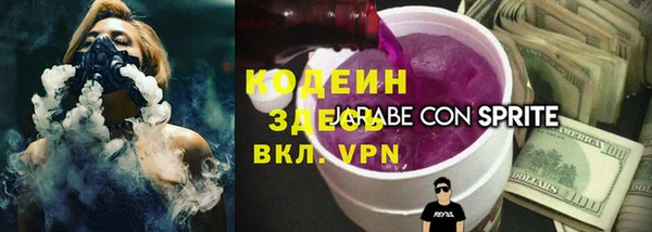 индика Зеленодольск