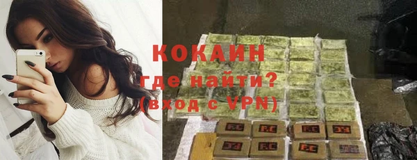 индика Зеленодольск