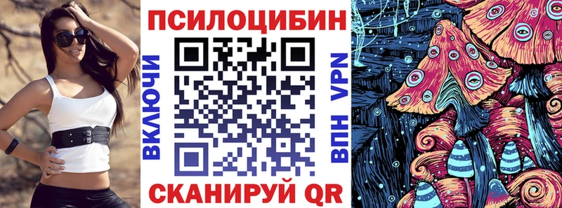 Псилоцибиновые грибы мицелий  нарко площадка состав  Кашин 